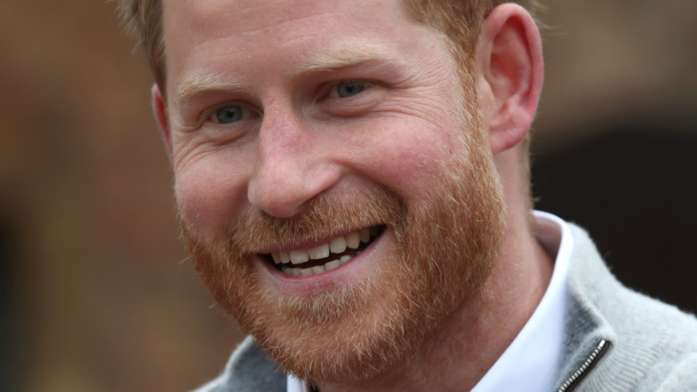 Prince Harry red beard