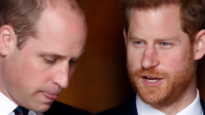 Prince William and Harry