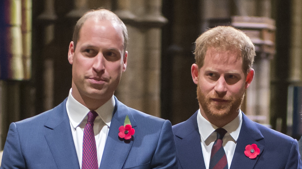 Prince William and Prince Harry standing side-by-side
