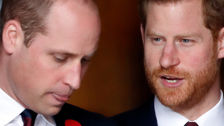 Prince William and Prince Harry talking