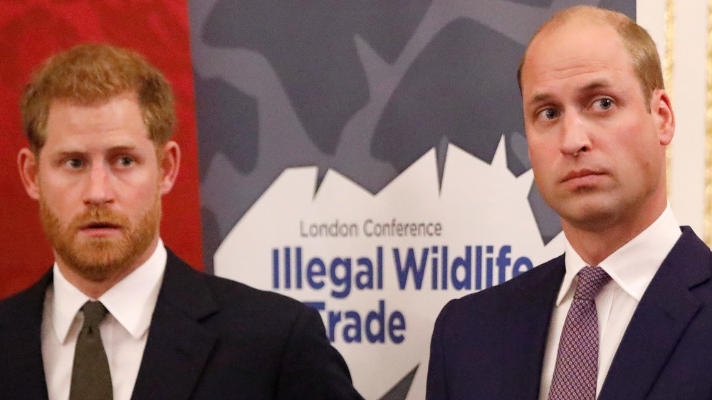 Prince Harry and Prince William looking to the side