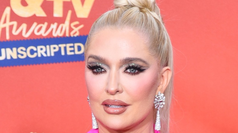 Erika Jayne red carpet