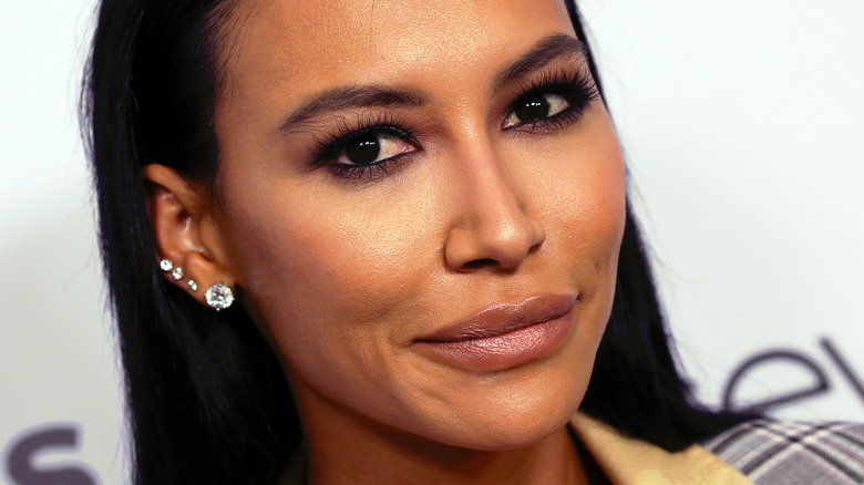 Naya Rivera looking at camera with slight grin