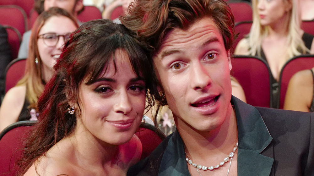 Camila Cabello, Shawn Mendes