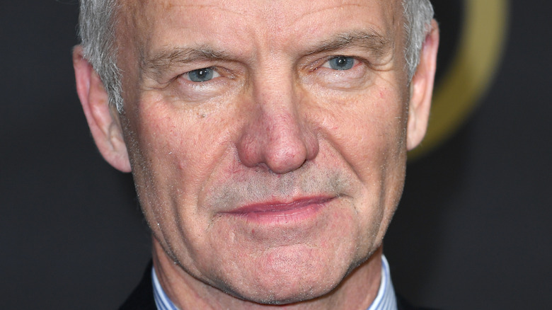 Sting gray hair