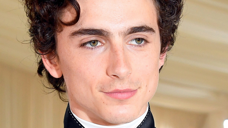 Timothée Chalamet at the Met Gala