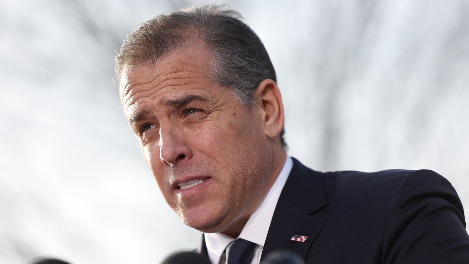 How The Ashley Madison Scandal Rocked Hunter Biden's Reputation