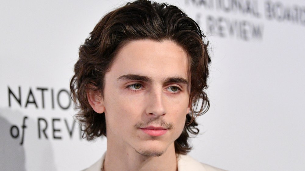 Timothée Chalamet attends the 2020 National Board Of Review Gala