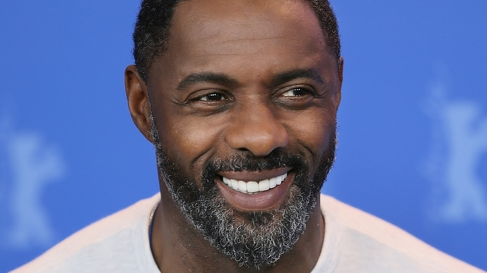 Idris Elba's Super Bowl 2022 Commercial Will Leave You In Stitches