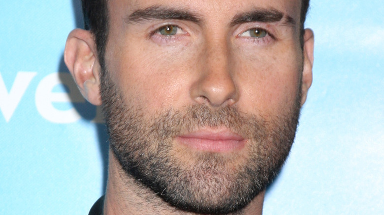 Adam Levine on the red carpet
