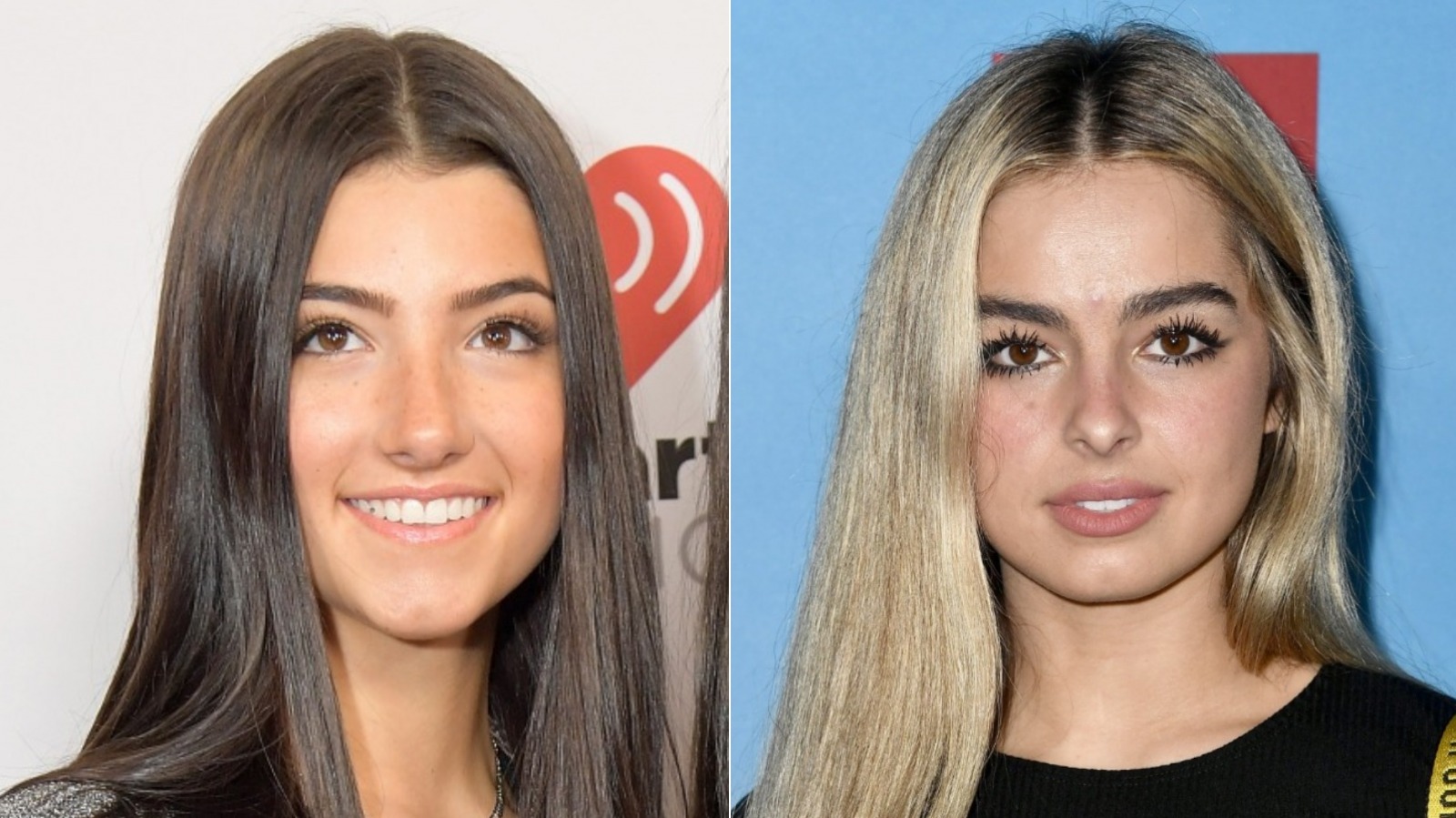 Inside Addison Rae And Charli D'Amelio's Rocky Relationship