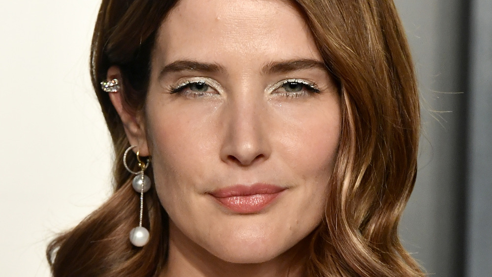 Cobie Smulders closeup