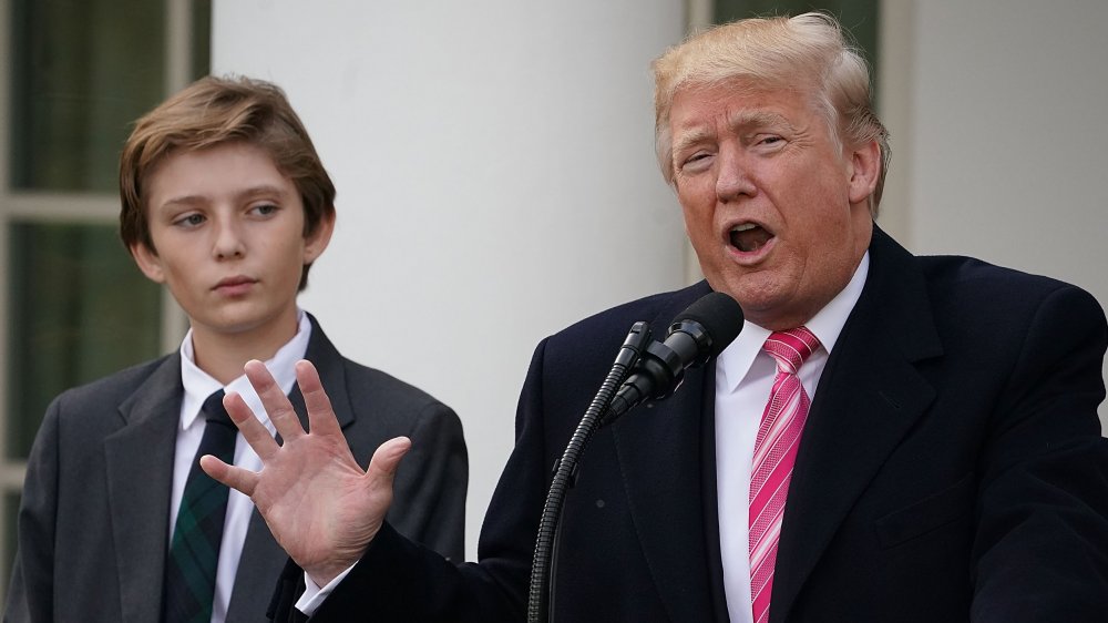 Donald Trump and Barron Trump