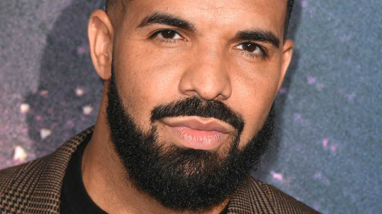Drake with a beard