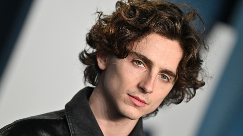 Timothée Chalamet attends the 2022 Vanity Fair Oscar Party 