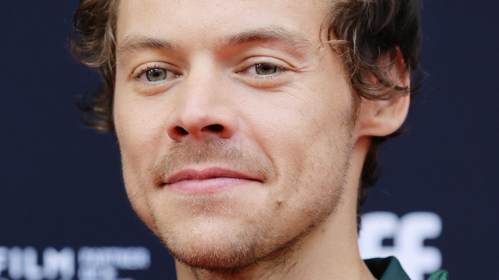 A Complete Guide To 1D Members Louis Tomlinson And Harry Styles' Rumored  Relationship - CelebMagazine