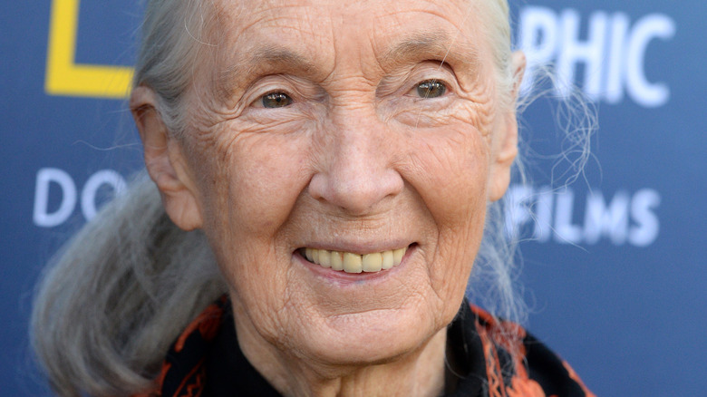 Jane Goodall smiling