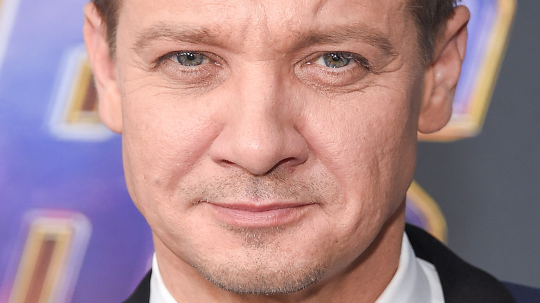 Jeremy Renner poses 