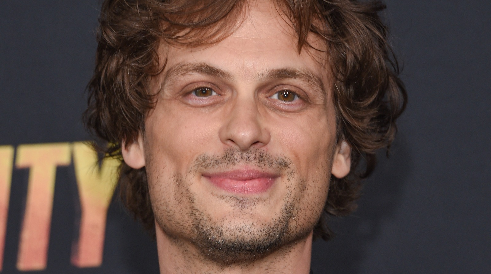 Inside Matthew Gray Gubler's Relationship History