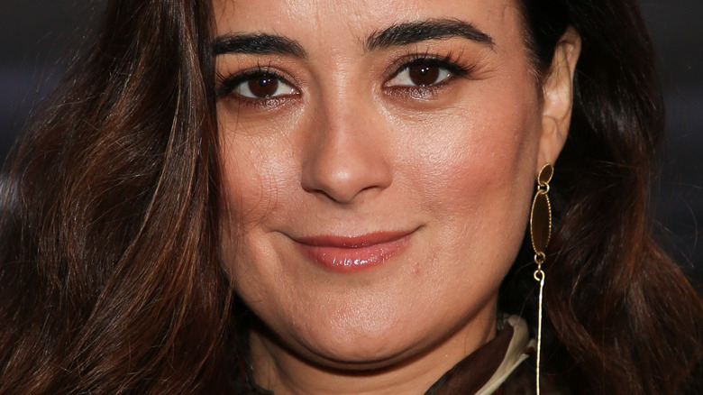 Cote De Pablo smiling