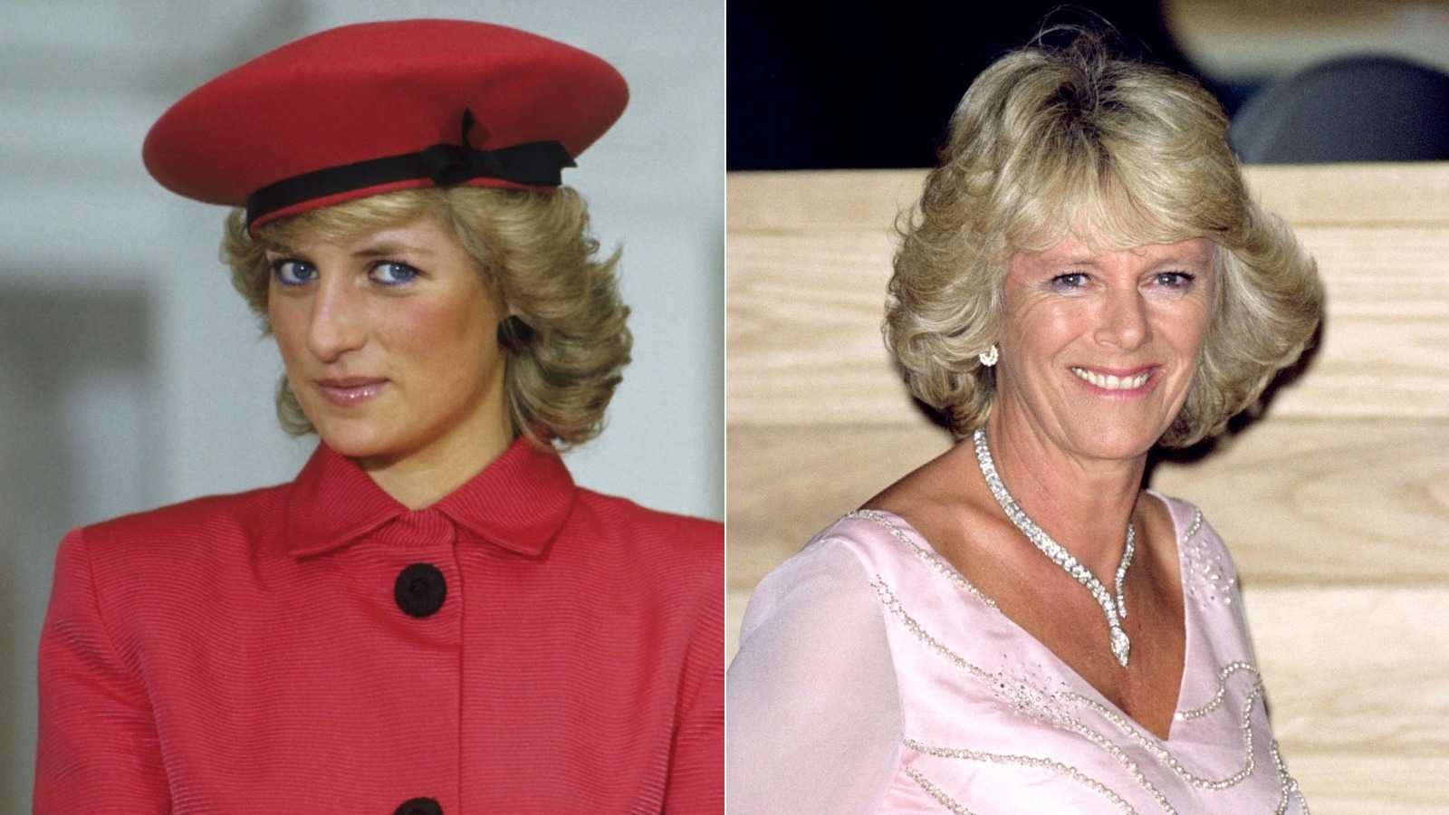 Princess Diana And Camilla Parker Bowles