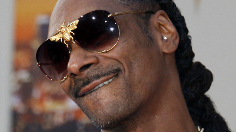 Snoop Dogg posing