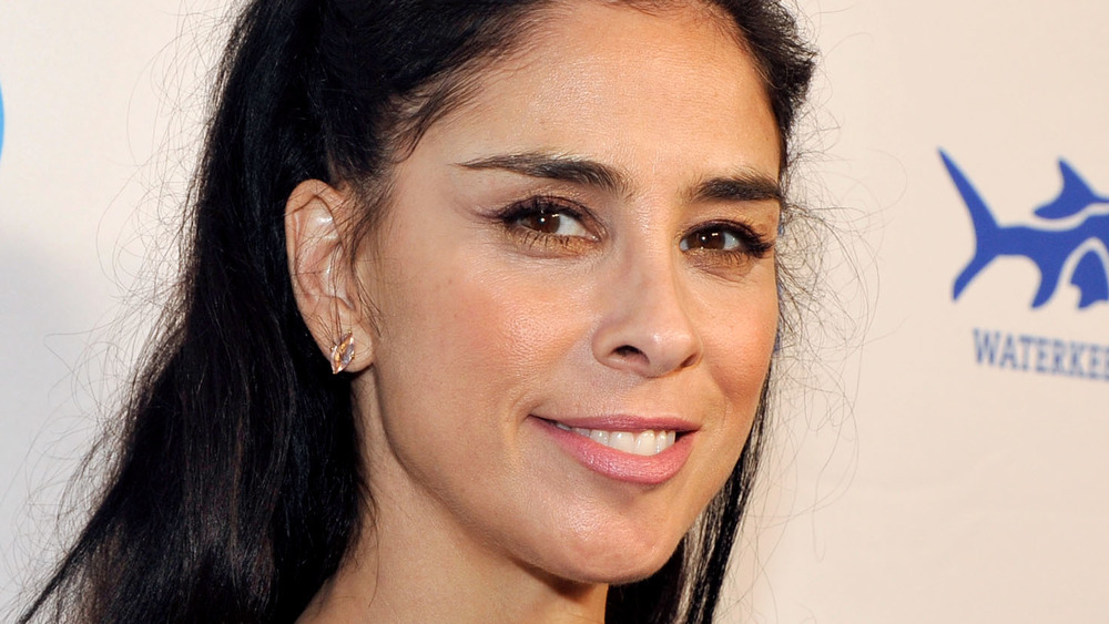 Sarah Silverman smirks on the red carpet at an event