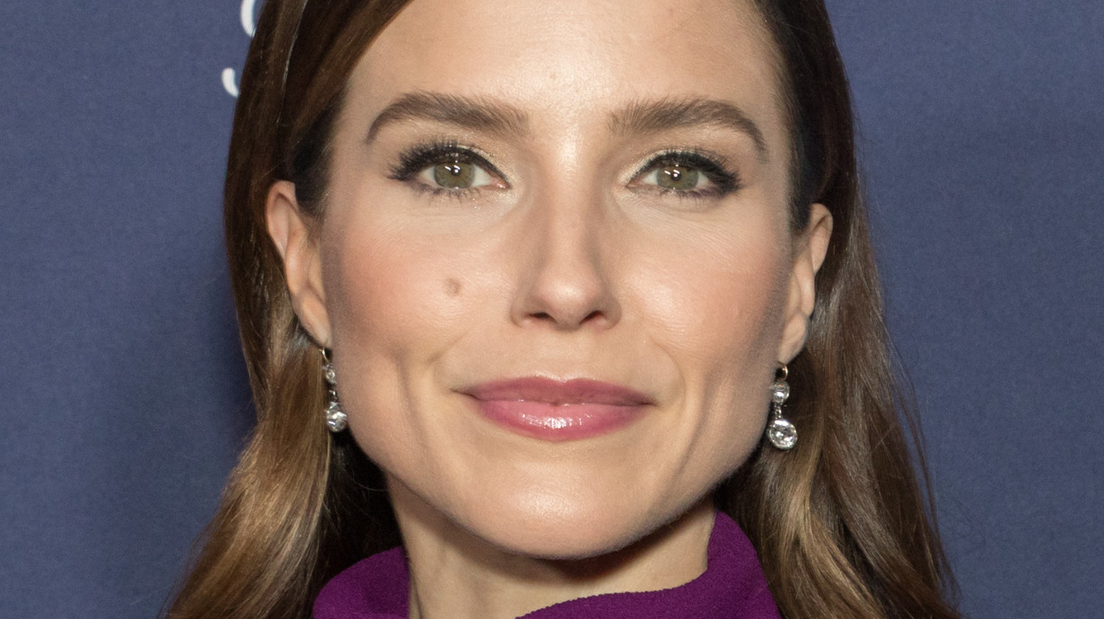 Inside Sophia Bush's Relationship With Austin Nichols
