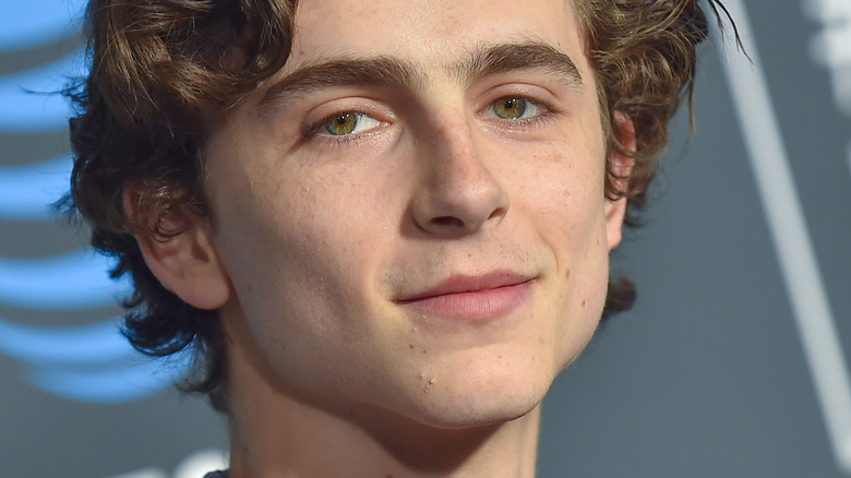 Timothée Chalamet smiling