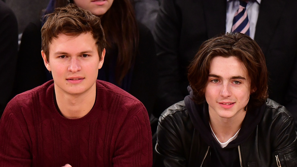 Ansel Elgort sitting courtside at a basketball game, not smiling, wearing a sweater; Timothee Chalamet sitting courtside at basketball game, slightly smiling, in leather jacket