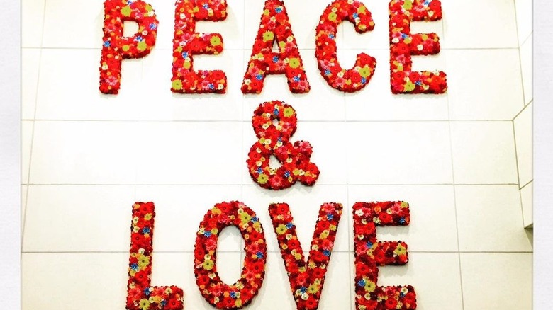 Toni Collette's divorce message