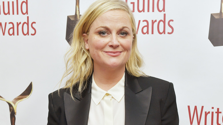 Amy Poehler at the 72nd Annual Writers Guild Awards