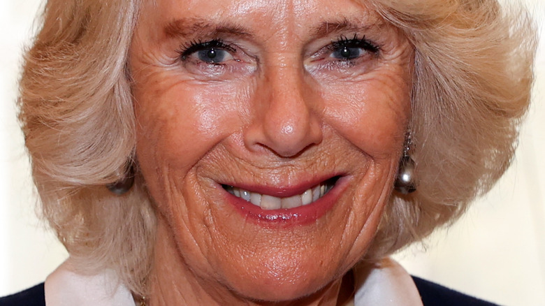 Camilla Parker Bowles hair