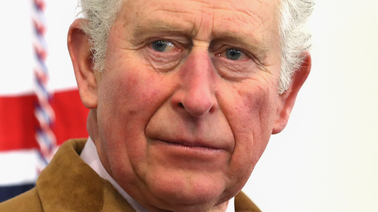 Prince Charles white hair