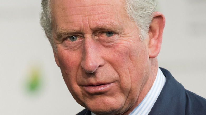 Prince Charles gives a perplexed look at an event