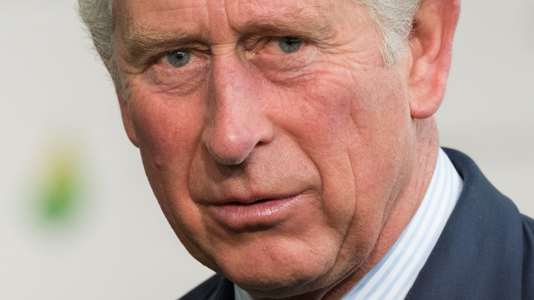 Prince Charles with a neutral expression