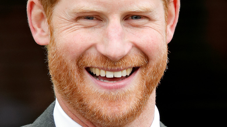 Prince Harry red beard