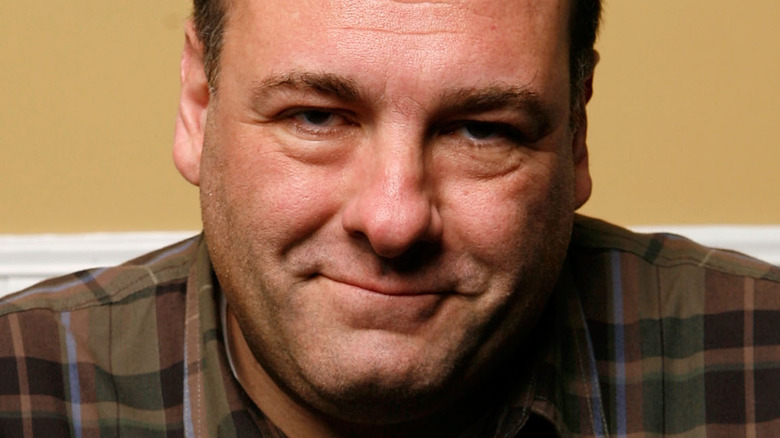 James Gandolfini candid pic