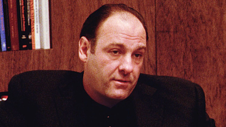 James Gandolfini as Tony Soprano