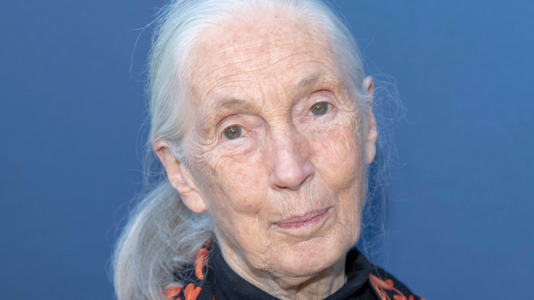 Jane Goodall smiling