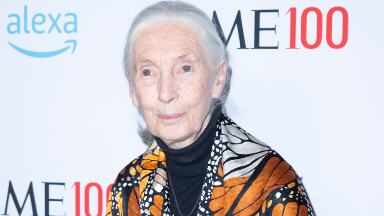 Jane Goodall smiling