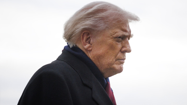 Donald Trump pictured in Washington, D.C.