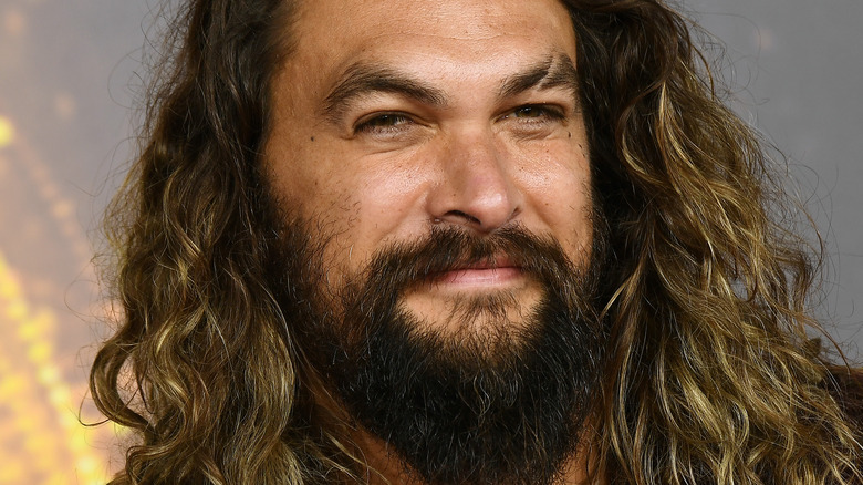 Jason Momoa long beard curly hair