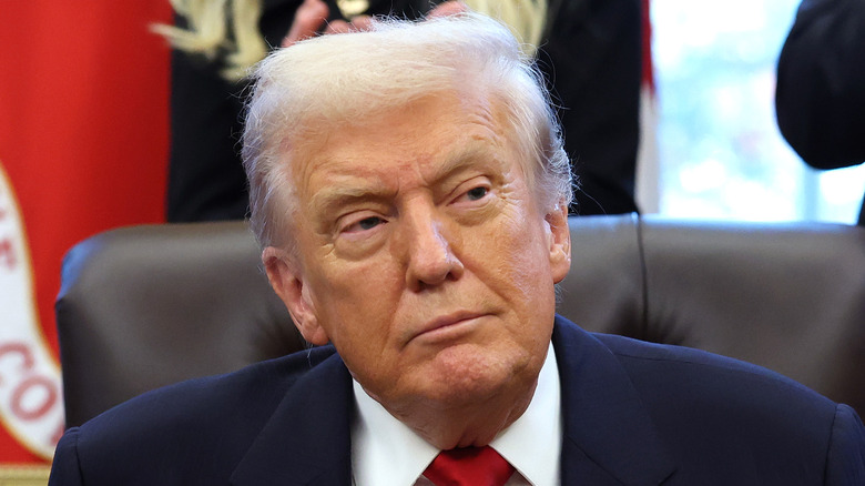 Donald Trump sitting in a leather chair