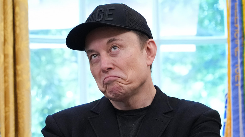 Elon Musk frowning in the White House