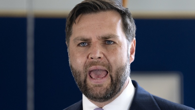 JD Vance speaks to the press at the Wilshire Federal Building in Los Angeles, CA (2025)
