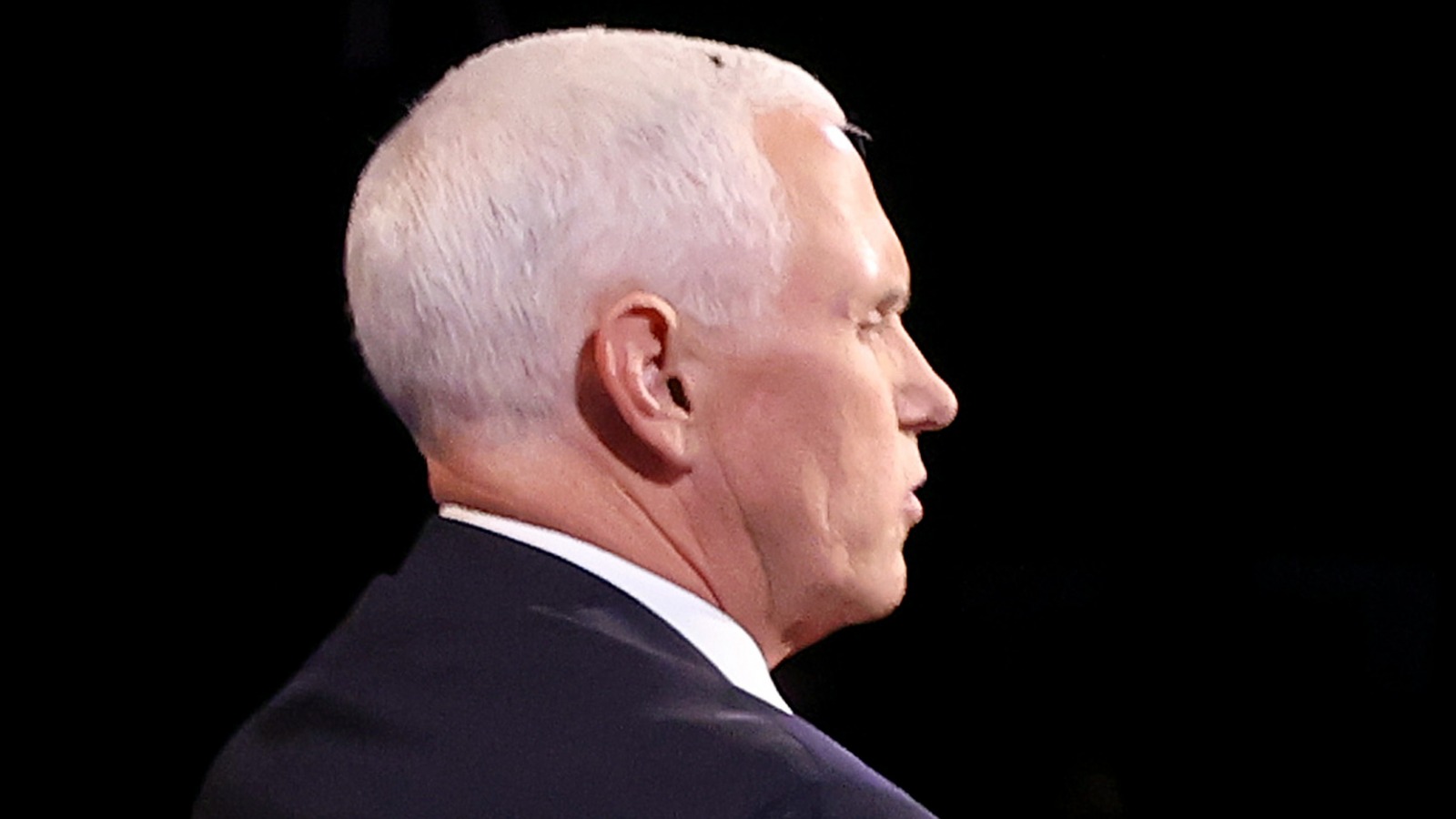 Joe Biden Tries To Cash In On The Fly In Mike Pence's Hair