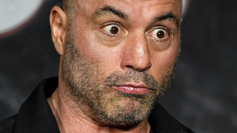 Joe Rogan posing