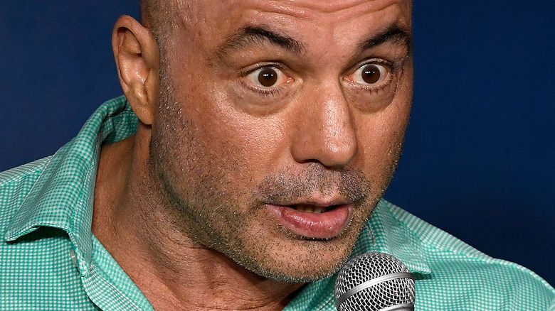 Joe Rogan speaking