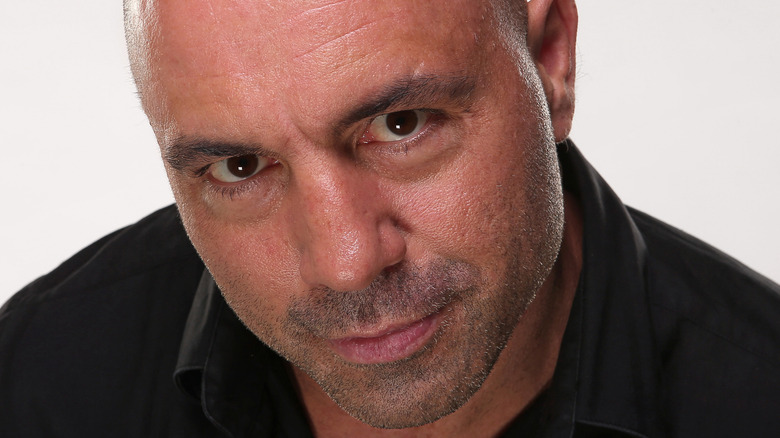 Joe Rogan looking into the camera